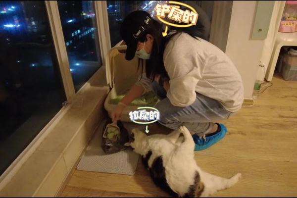 剃的成語有哪些成語大全四個字？剃的成語有哪些成語大全圖片！