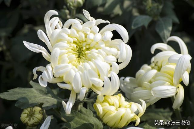 墨字五行屬什么？墨字五行屬什么,名字里寓意！