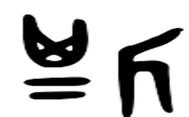皙五行屬啥？楠字五行屬什么！