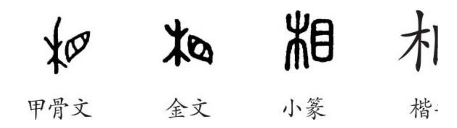 相字的五行屬性是什么？相字的五行！