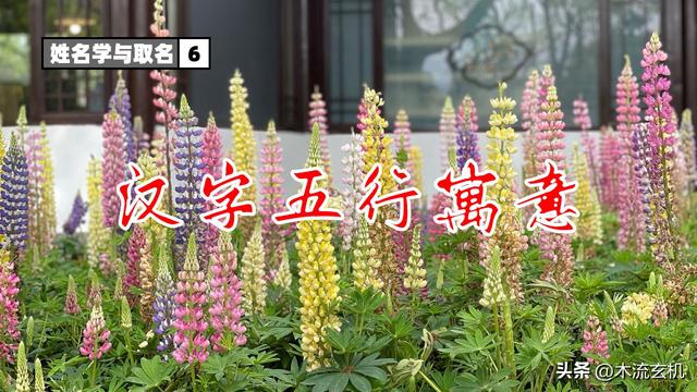 五行取名字的原則是什么？五行取名字的原則是什么意思！