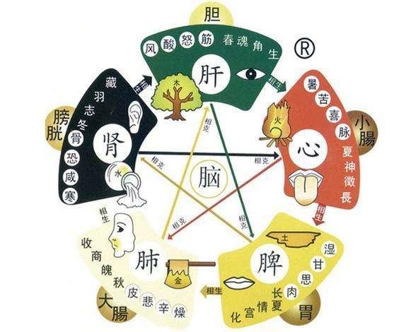青五行屬什么的屬性？青五行屬什么的名字！