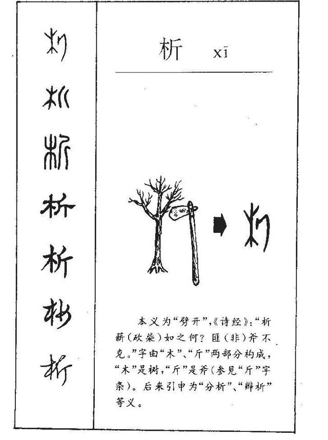 皙五行屬啥？楠字五行屬什么！