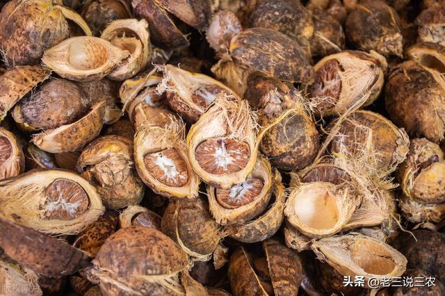 養(yǎng)殖場起名字大全免費？養(yǎng)殖場起名字大全免費4字！