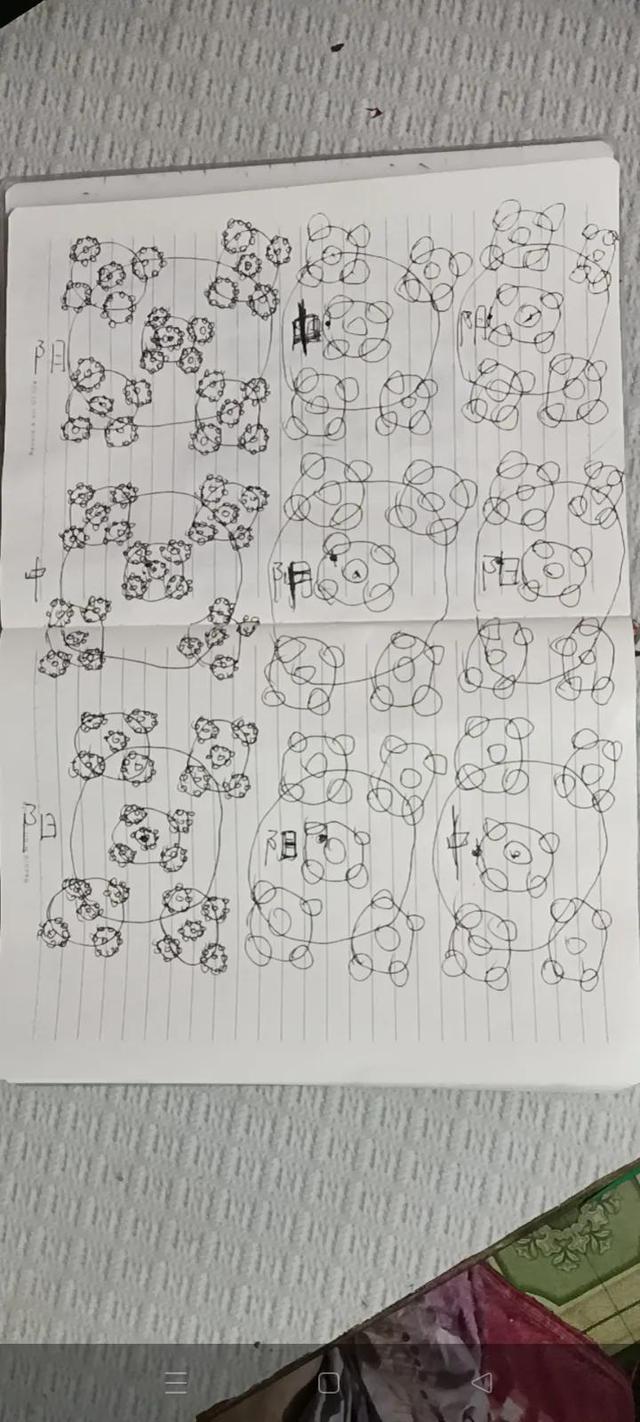 五行八卦起名字怎么起？五行八卦起名字好嗎！