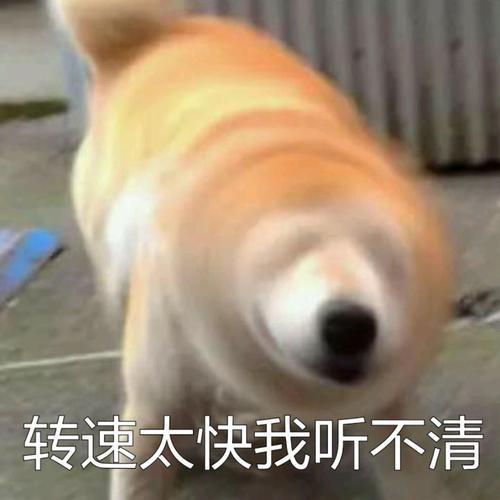 如何起名字_新生兒？新生兒的起名！
