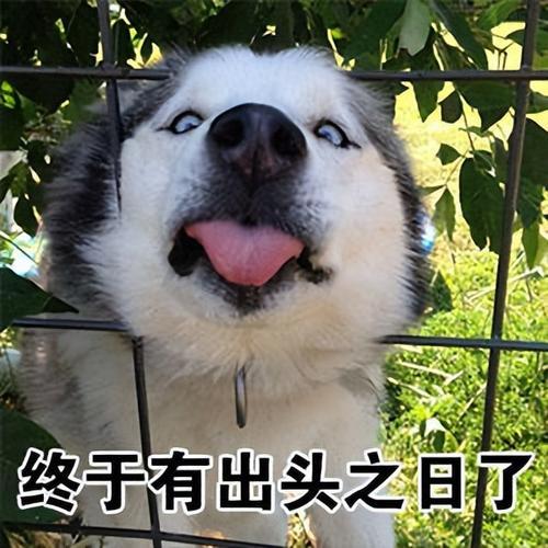 如何起名字_新生兒？新生兒的起名！