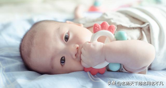 取名寶典？取名寶典免費(fèi)！