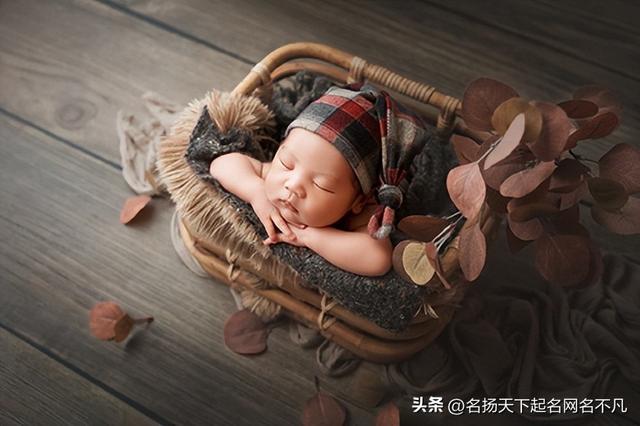如何起名字_新生兒免費(fèi)？如何起名字_新生兒屬虎的男孩！