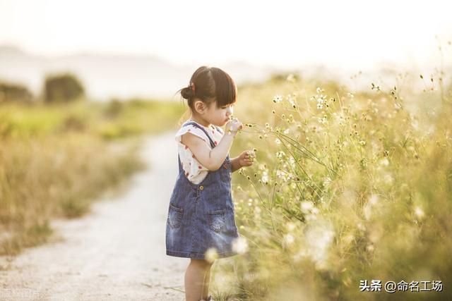 起名字女孩2020免費八字起名寶寶？起名女孩2020免費八字起名周易！