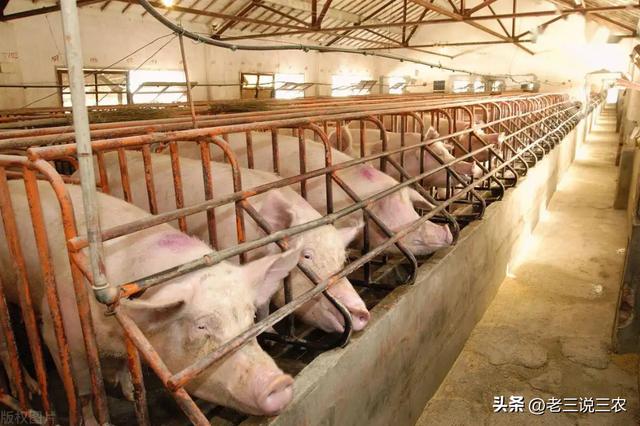 養(yǎng)殖場起名字大全免費？養(yǎng)殖場起名字大全免費4字！