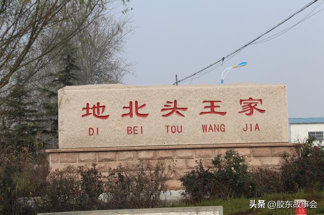 王姓起名通典書籍大全？王姓起名通典在線閱讀！