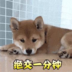 如何起名字_新生兒？新生兒的起名！
