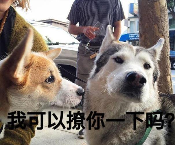 如何起名字_新生兒？新生兒的起名！