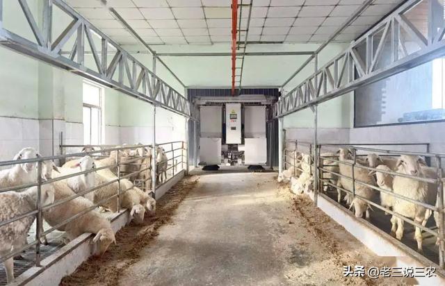 養(yǎng)殖場起名字大全免費？養(yǎng)殖場起名字大全免費4字！