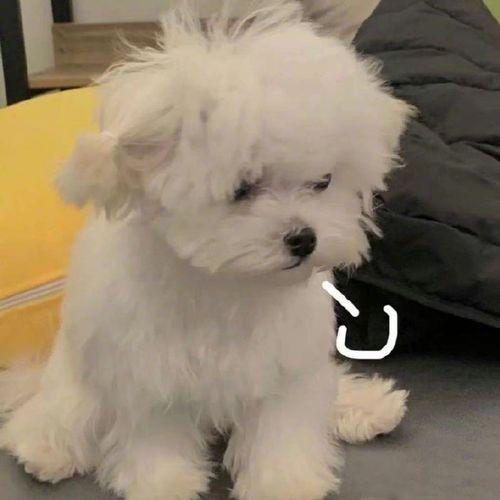 如何起名字_新生兒？新生兒的起名！