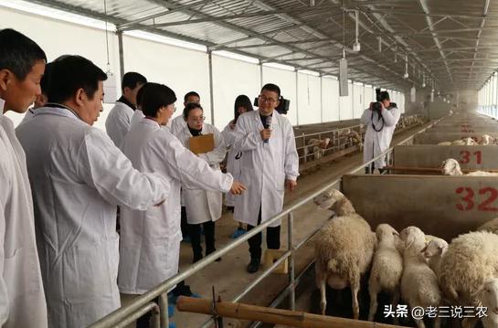 養(yǎng)殖場起名字大全免費？養(yǎng)殖場起名字大全免費4字！