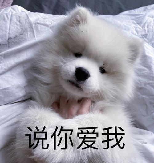 如何起名字_新生兒？新生兒的起名！
