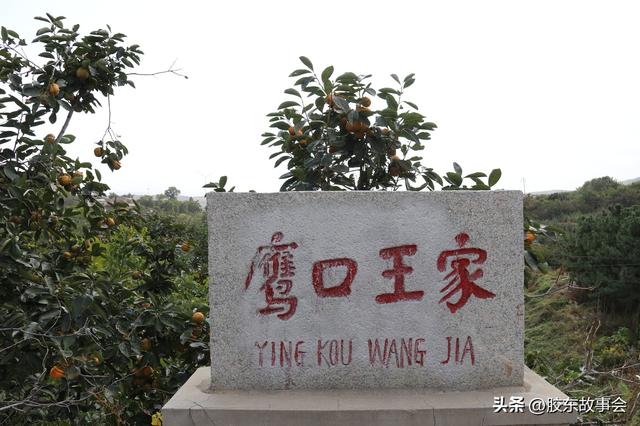 王姓起名通典書籍大全？王姓起名通典在線閱讀！