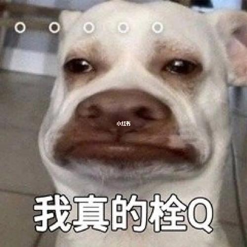 如何起名字_新生兒？新生兒的起名！