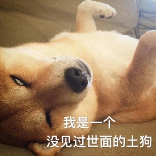 如何起名字_新生兒？新生兒的起名！
