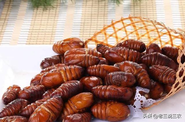 養(yǎng)殖場起名字大全免費？養(yǎng)殖場起名字大全免費4字！