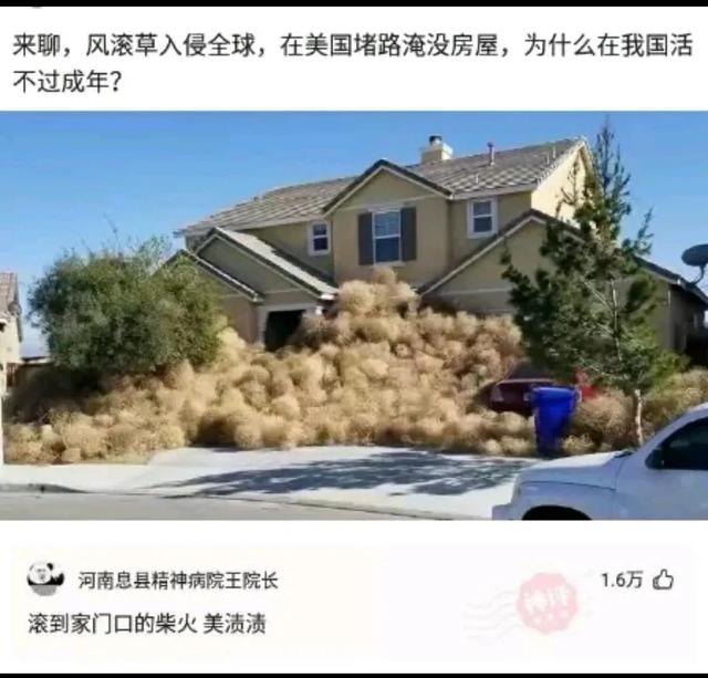 開超市起什么名字好？開個超市起個什么名字好呢女！