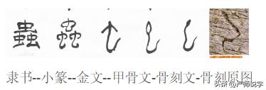 禹字五行屬什么？禹字五行屬什么的！