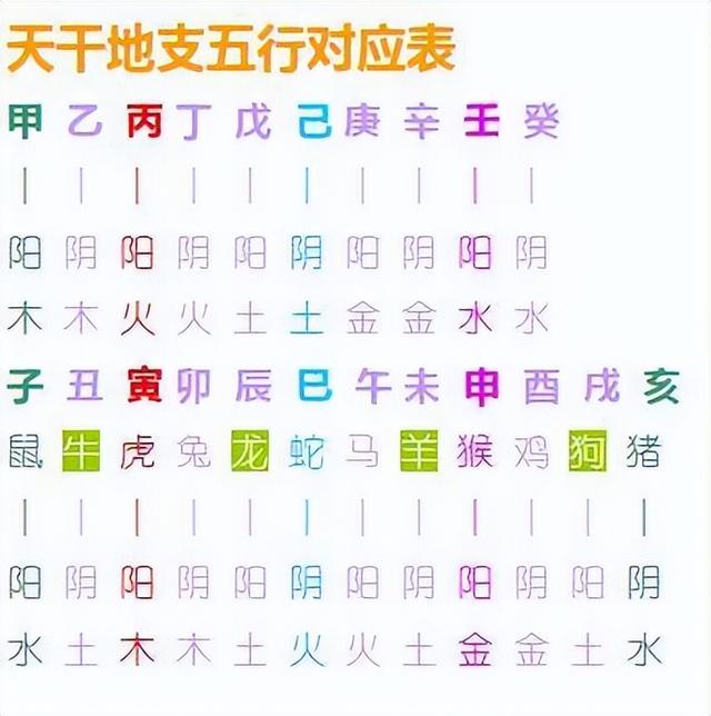 癸五行屬什么？癸巳五行屬性是什么！