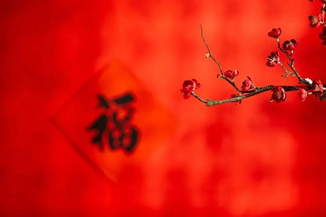 添的意思？添添是什么意思意！