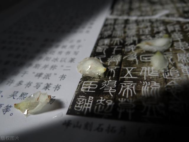 女生qq名字_好聽_可愛_霸氣？女生簡短好聽昵稱兩個字！