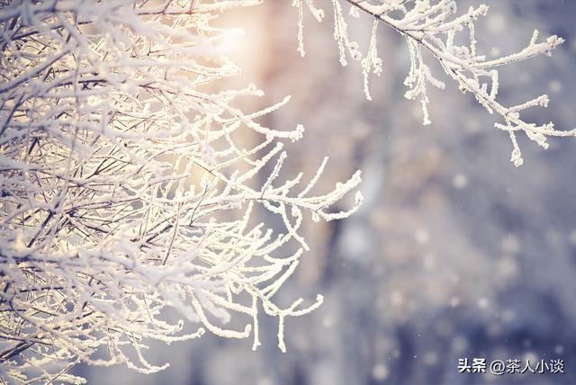 添的意思？添的意思是什么意思！
