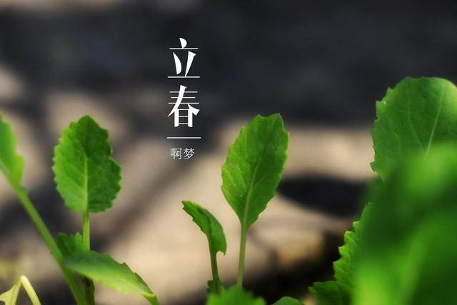癸五行屬什么？癸在五行屬性是什么！