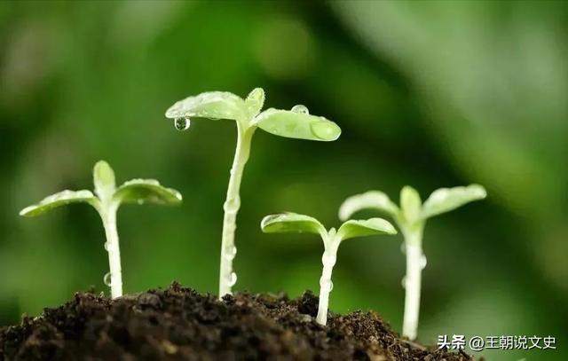 癸五行屬什么？癸字的五行屬性是什么！