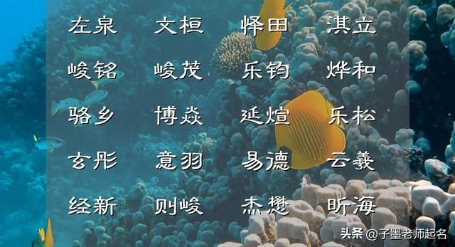 禹字五行屬什么？禹字取名的寓意！