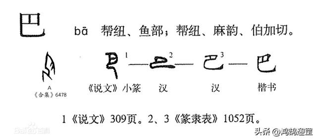 罡的含義是什么意思？罡怎么讀音！