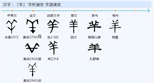 權(quán)字五行屬什么？權(quán)字五行屬什么和意義！