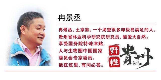 骕？骕怎么讀什么意思！