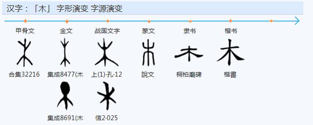 權(quán)字五行屬什么？權(quán)字五行屬什么和意義！