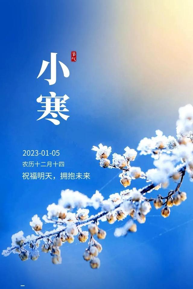 雛的意思？交姤是什么意思！