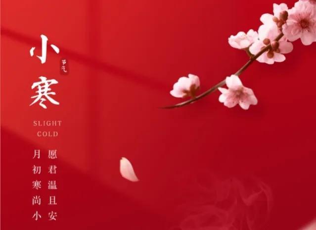 雛的意思？交姤是什么意思！