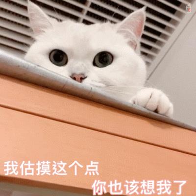 貓字的筆畫順序怎么寫，貓字的筆畫順序視頻
