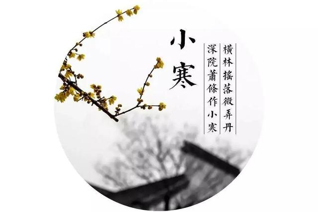 雛的意思？交姤是什么意思！