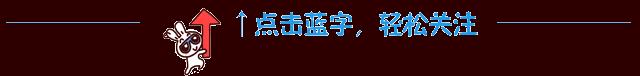 鵑字四字詞語，鵑_成語
