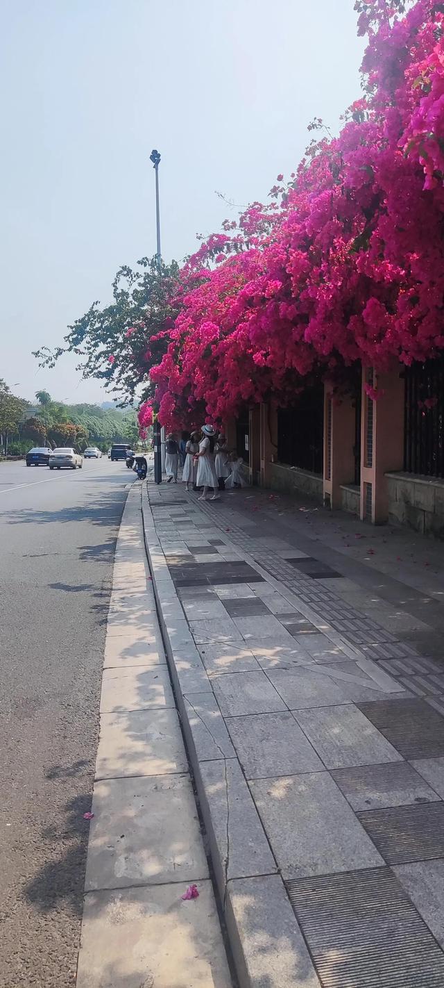 春五行屬什么以及含義，春五行屬啥