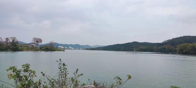 春五行屬什么以及含義，春五行屬啥