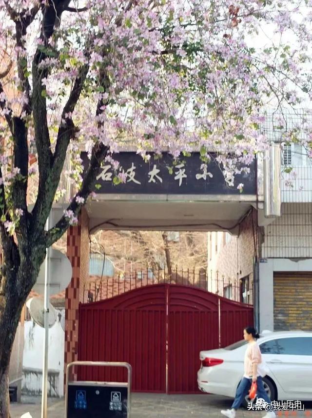 玩具店起名,玩具店起名字招財吉利小鋪？
