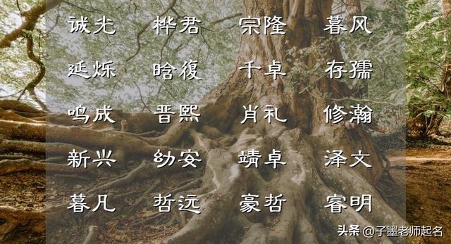 李姓男孩起名,李姓男孩起名字好寓意的字？