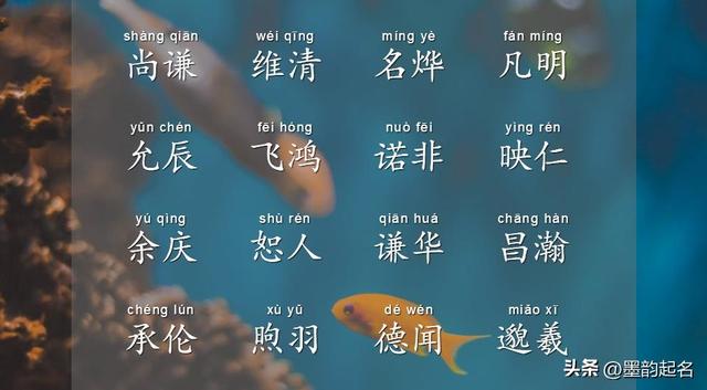徐姓男孩取名,徐姓男孩取名屬兔？