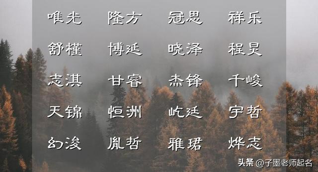 李姓男孩起名,李姓男孩起名字好寓意的字？